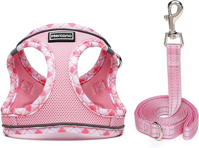 Mercano Soft Mesh Dog Harness and Leash Set, No-Chock Step-in Reflective - Image 2