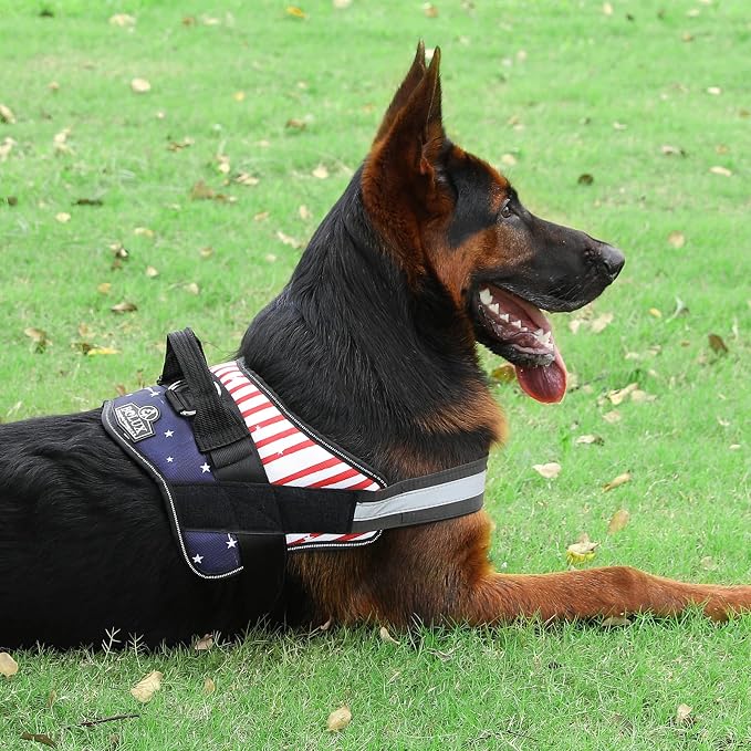 Bolux Dog Harness, No-Pull Reflective Dog Vest, Breathable Adjustable Pet - Image 6