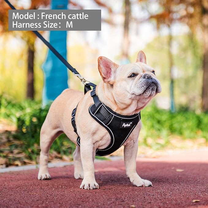 PUPTECK Small Dog Harness and Leash Set, No Pull Adjustable Puppy Cat Harness - Image 6