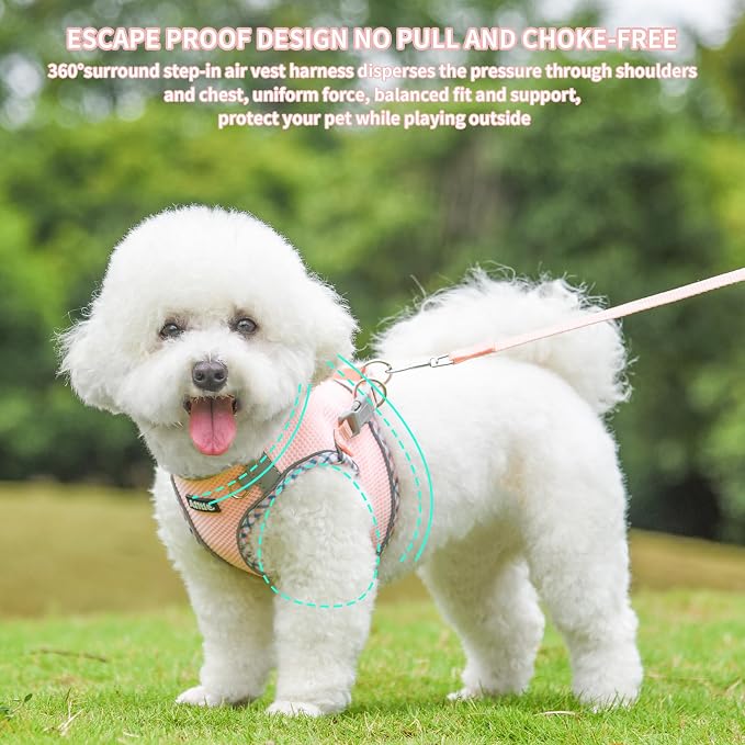 AIITLE Small Dog Harness - Image 4