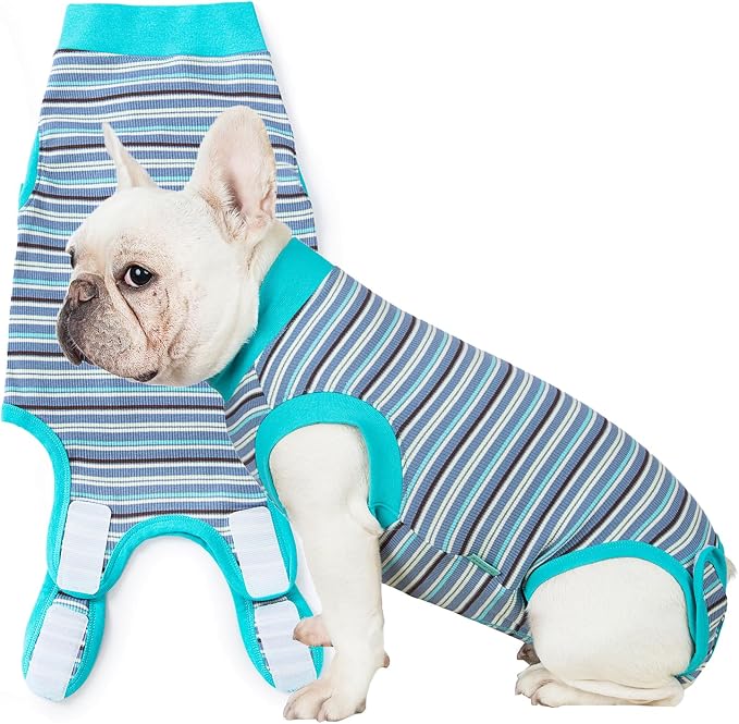 Sebdtico Recovery Suit for Dogs, Dog Surgery Suit Female Spay, Soft Dog Onesie by Unknown