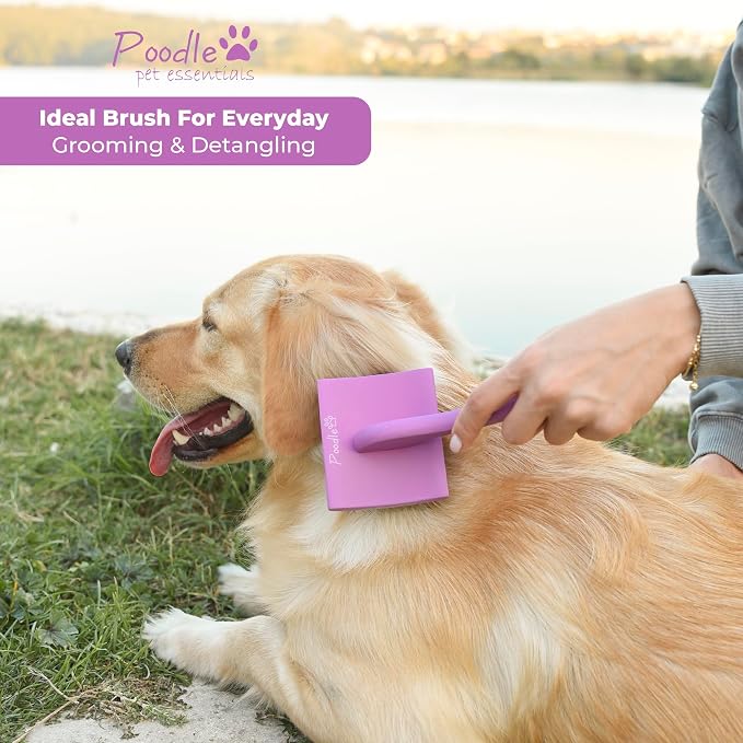 Slicker Brush for Dogs - Image 6