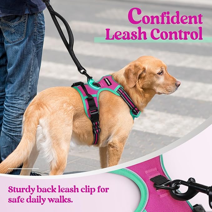 rabbitgoo Dog Harness No Pull - Image 6