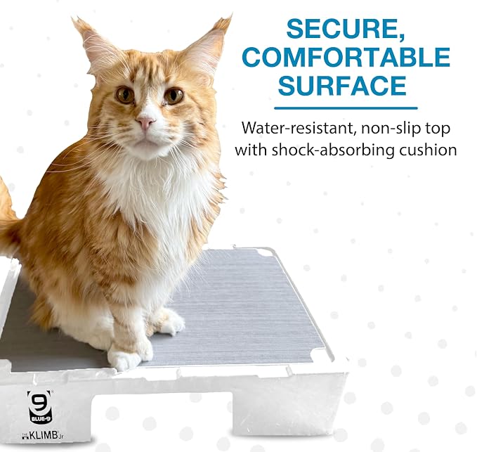 Blue-9 KLIMB Jr. Professionally Designed Dog Training Platform and DIY Guide - Image 5