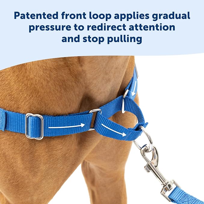 PetSafe Easy Walk Harness for Dogs - Image 3