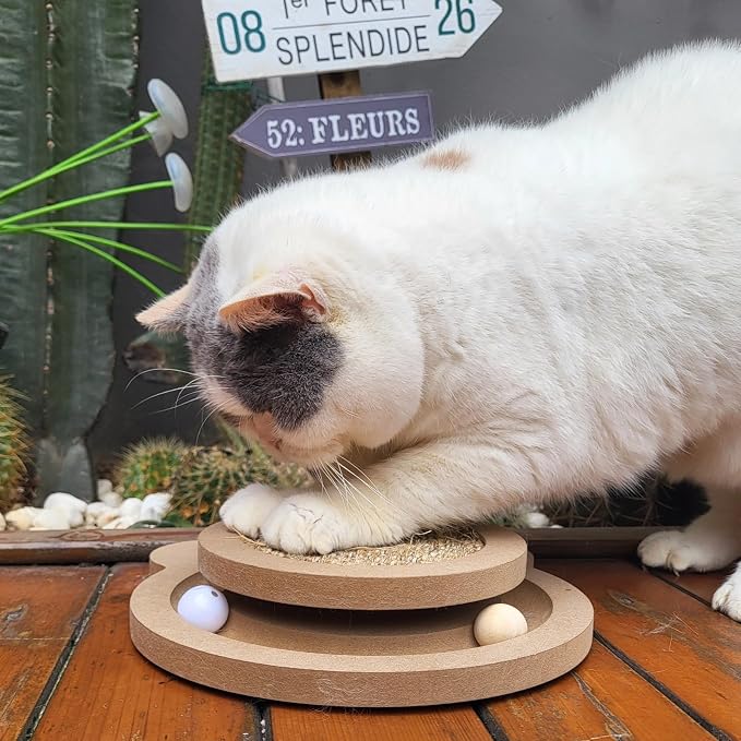 Cute Cat Scratcher, Interactive Scratcher Toys - Image 2