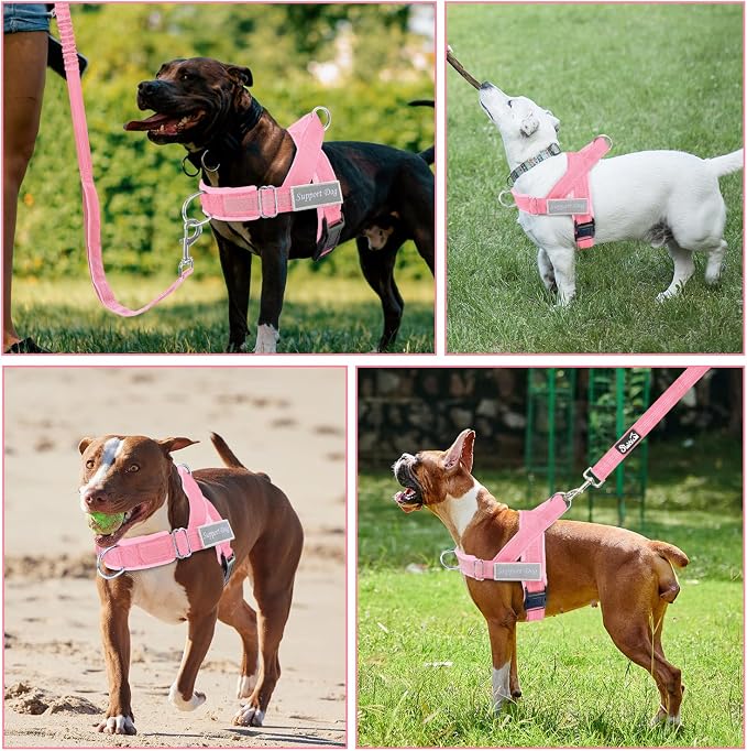 SlowTon No Pull Dog Harness - Image 8