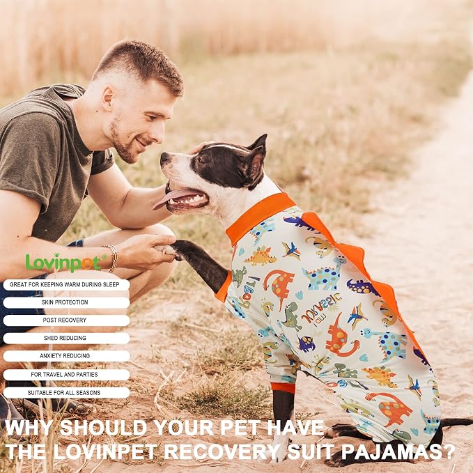 LovinPet Large Dog Pajamas, Anti Licking, Recovery Suit, Lightweight Jurassic - Image 7
