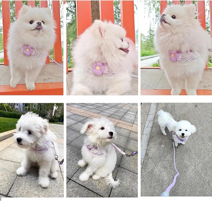 Cat Harness Collar and Leash Set, Sweet Lace Floral Kitten Collar, Escape Proof - Image 9