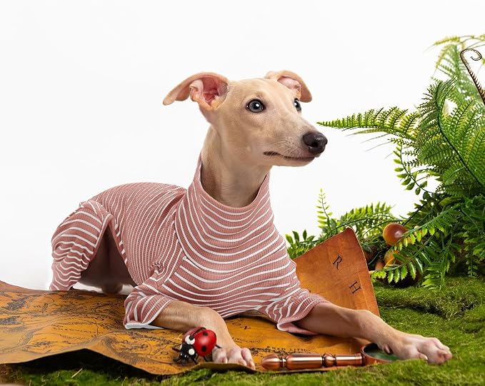Dog Sweaters for Small Dogs Girls Boys, Striped Pet Sweaters for Fall Winter - Image 5