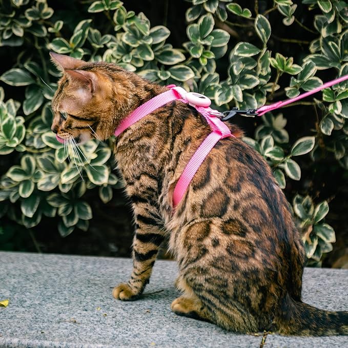 Cat Harness and Leash Set with Airtag Holder - Image 5