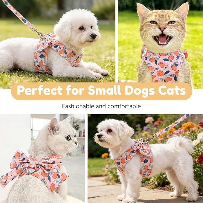 BAEJMJK Dog Harness and Leash Set - Image 7