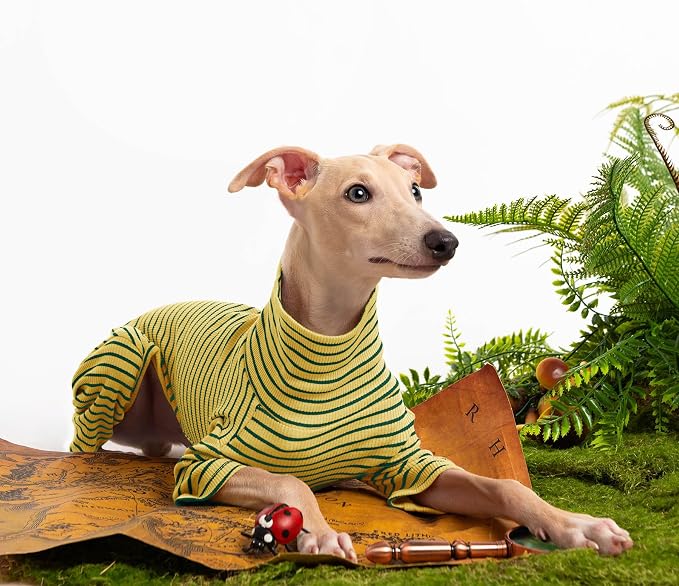 Dog Sweaters for Small Dogs Girls Boys, Striped Pet Sweaters for Fall Winter - Image 5