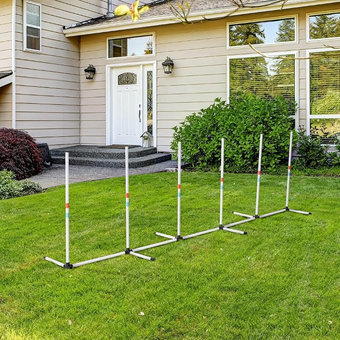 Dog Agility Training Equipment - Image 6