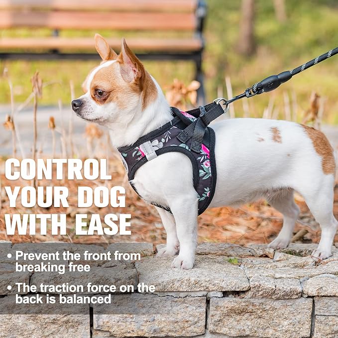 BEAUTYZOO Step in Dog Leash Set, Floral Pattern Reflective Harness No Pull No - Image 5