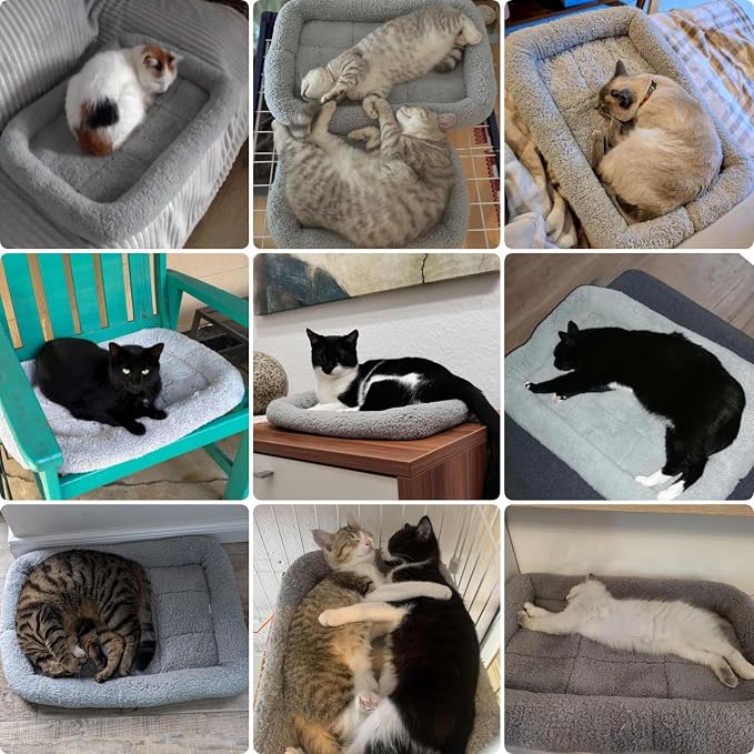 PETLESO Small Cat Bed Mat, Indoor Pet Beds Furniture Carrier Crate Anti Skid Pad - Image 2