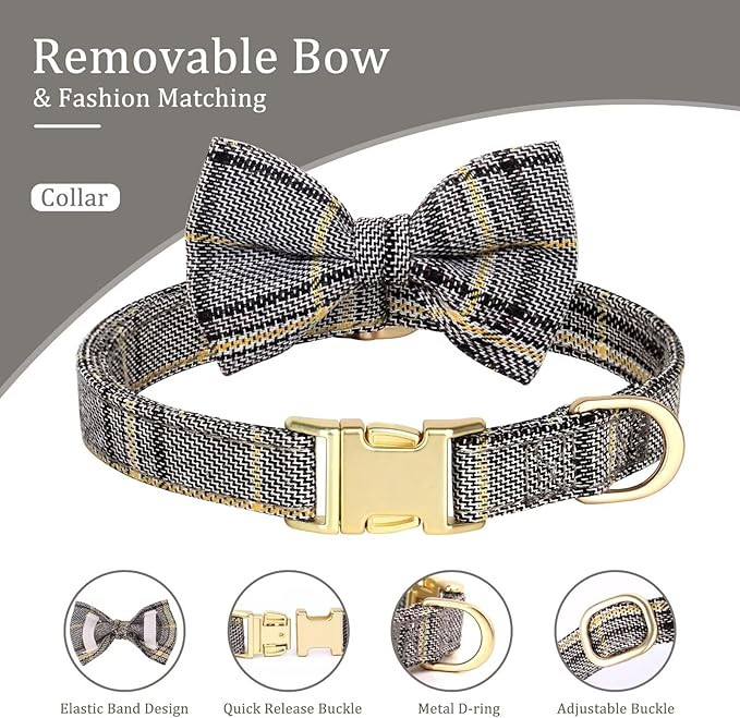 Beirui Cute Small Dog Harness Collar and Leash Set - Image 6
