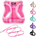 PUPTECK Dog Harness and Leash Set by PUPTECK