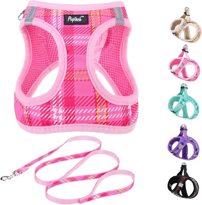 PUPTECK Dog Harness and Leash Set by PUPTECK