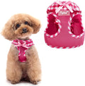 PUPTECK Dog Harness for Puppy and Small Sized Dogs, Step-in No Pull Soft Mesh by PUPTECK