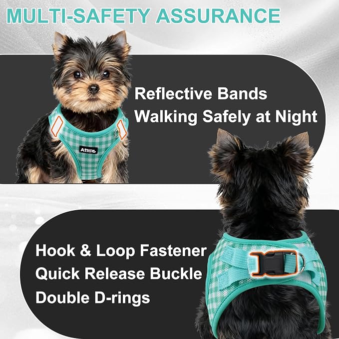 AIITLE Adjustable Dog Harness and Leash Set, Step in No Pull Pet Harness - Image 2