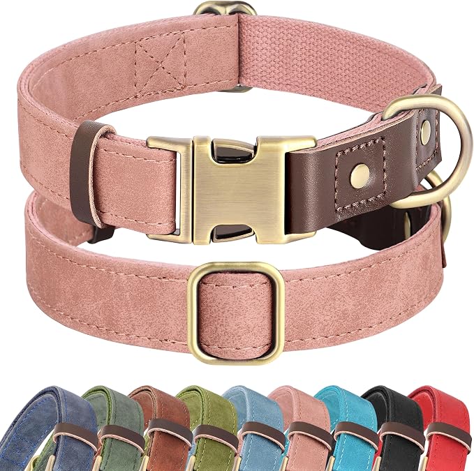 Didog Soft PU Leather Dog Collar by Didog