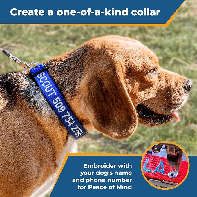 GoTags Personalized Dog Collar, Custom Embroidered - Image 3