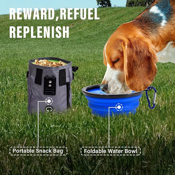 Dog Agility Training Equipment, Dog Agility Course Backyard Set - Image 3