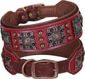 PET ARTIST Genuine Leather Dog Collar by PETARTIST