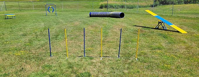 ActiveDogs Agility Above Ground Weave Poles - Image 7