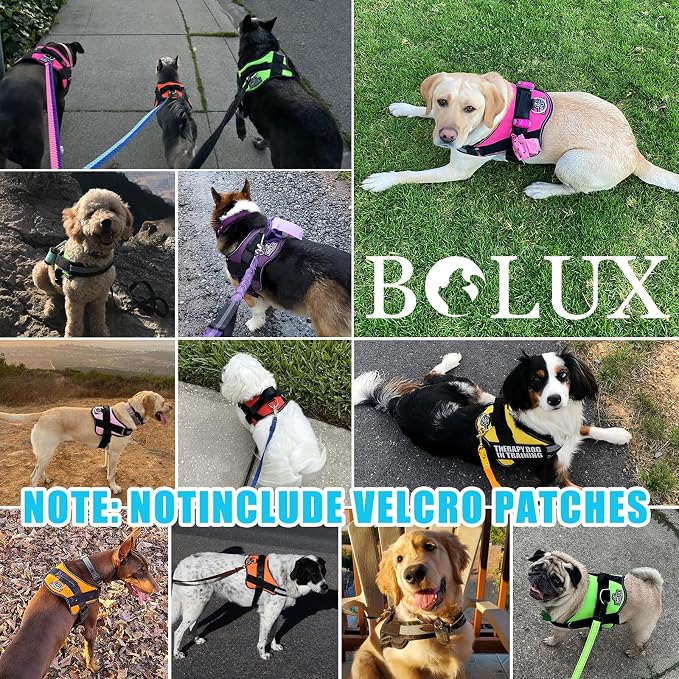 Bolux Dog Harness, No-Pull Reflective Dog Vest, Breathable Adjustable Pet - Image 7