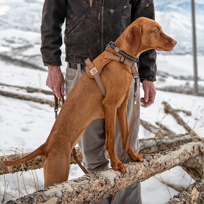 Carhartt Nylon Duck No Pull Dog Harness, Fully Adjustable Dog Harness - Image 5