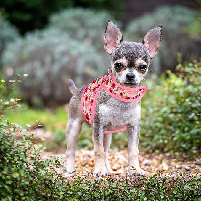 Mile High Life Dog Harness, Air Mesh Floral Vest Harness - Image 6