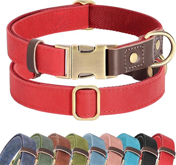 Didog Soft PU Leather Dog Collars by Didog