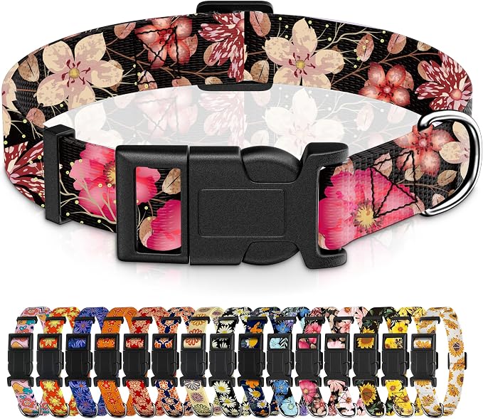 Dog Collar for Boys & Girls, Puppy Collar for Small to Large Dogs, Adjustable by Seyezo