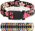 Dog Collar for Boys & Girls, Puppy Collar for Small to Large Dogs, Adjustable by Seyezo