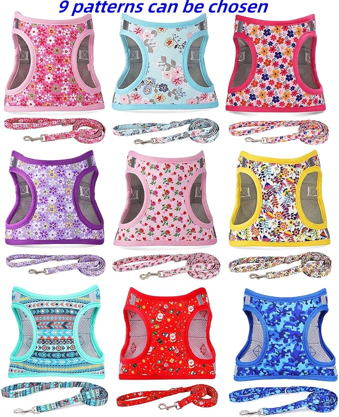 Moonpet Step in Boy Dog Harness Leash Set- All Weather Reflective No-Pull - Image 3