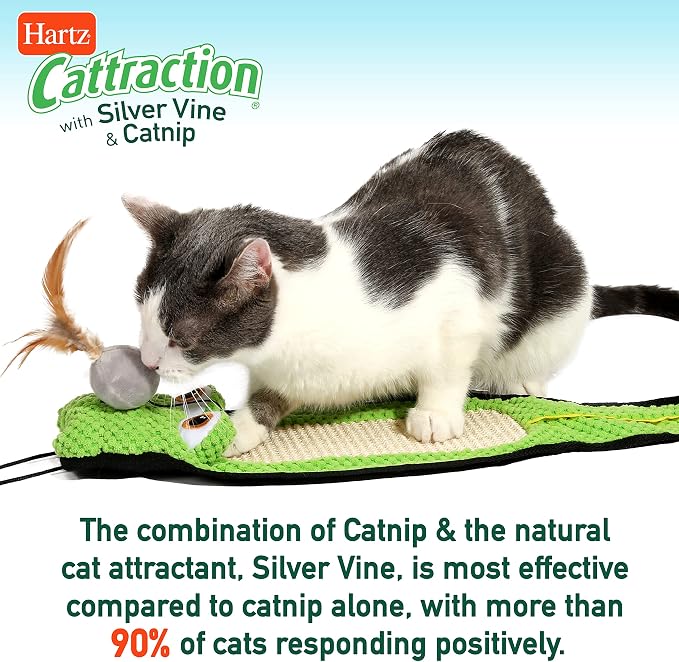 Cattraction with Silver Vine & Catnip Macaron Mice - Image 6