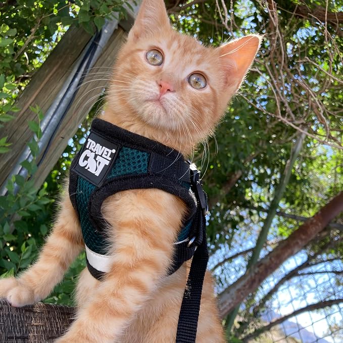 Travel Cat The Emerald Explorer Limited Edition Green Harness and Leash Set - Image 8