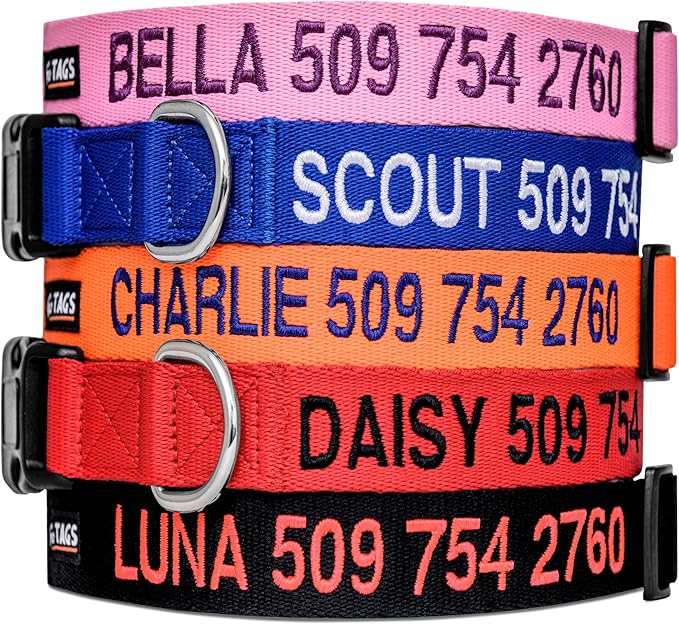 GoTags Personalized Dog Collar, Custom Embroidered by GoTags