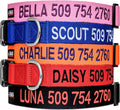 GoTags Personalized Dog Collar, Custom Embroidered by GoTags