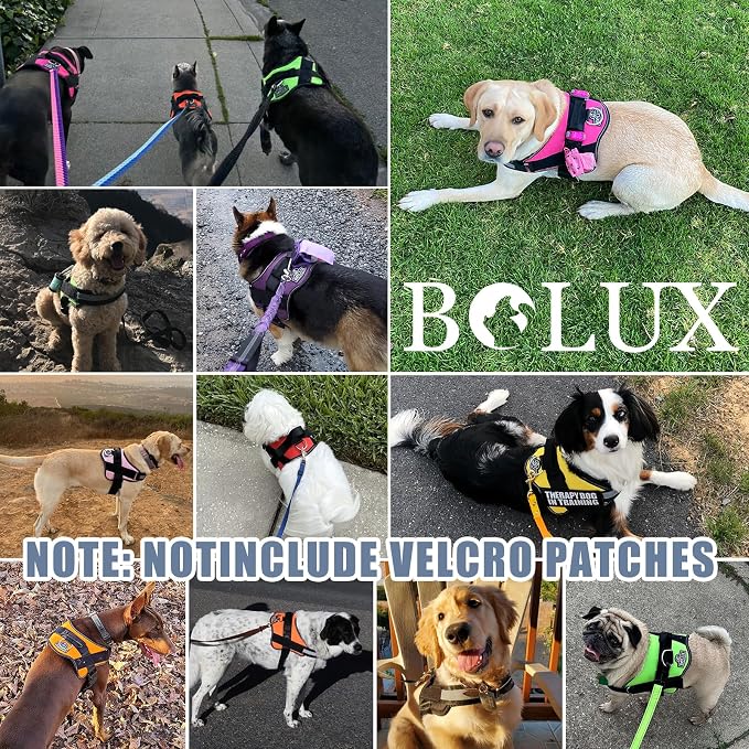 Bolux Dog Harness, No-Pull Reflective Dog Vest, Breathable Adjustable Pet - Image 7