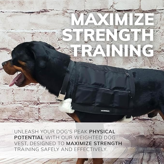 ActiveDogs Weighted Dog Vest - Image 4