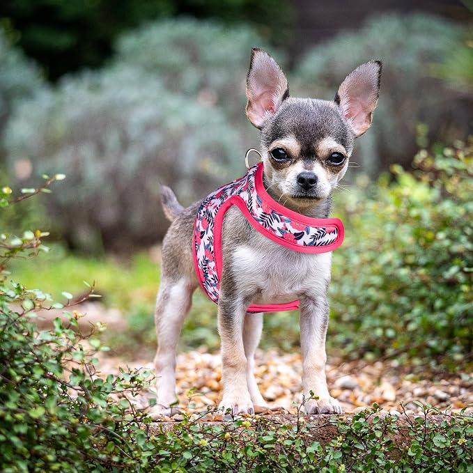 Mile High Life Dog Harness, Air Mesh Floral Vest Harness - Image 7