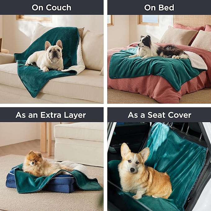Bedsure Cat Blanket for Indoor Cats - Image 9