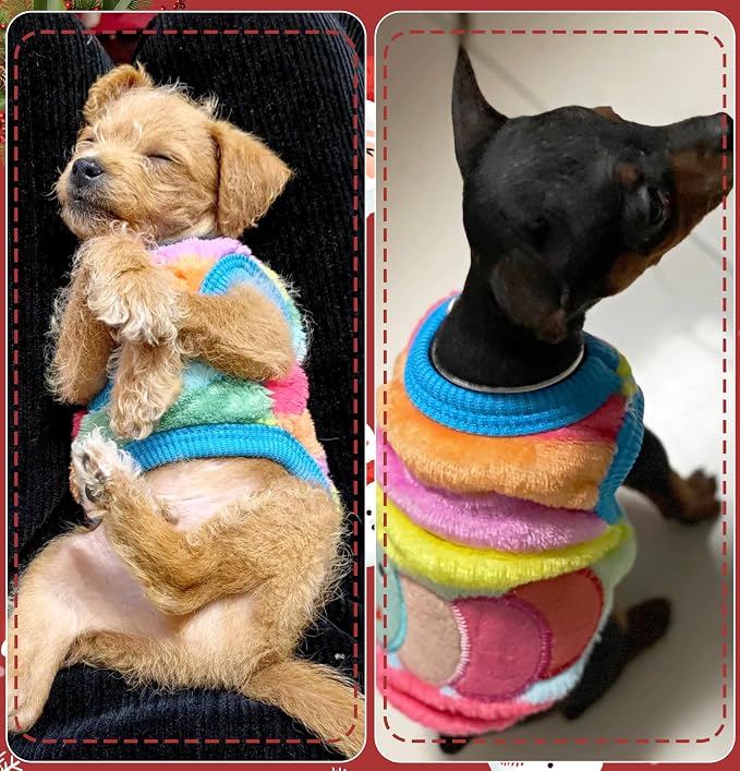 2 Pieces XS Chihuahua Cute Small Dog Puppy Winter Extra Small Pet Dachshund - Image 4