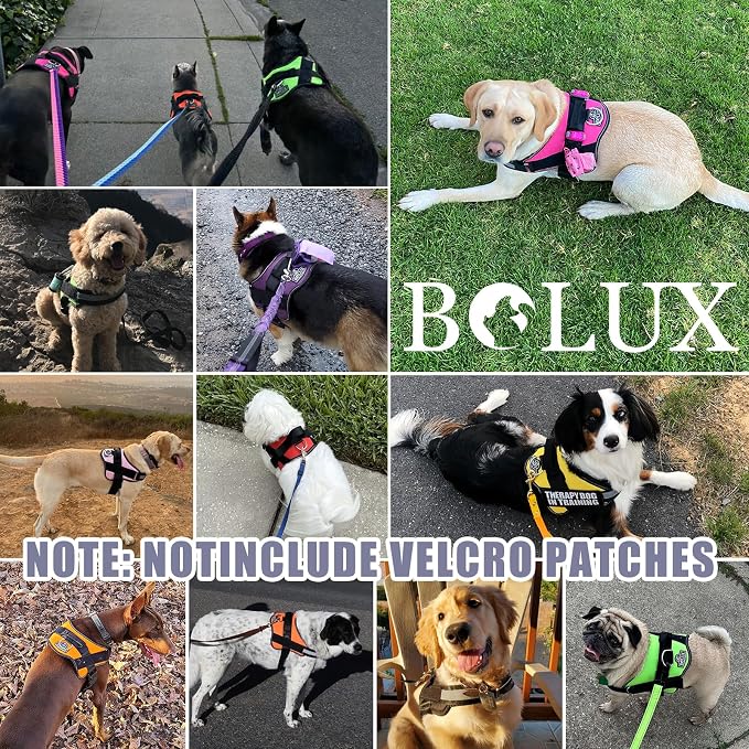 Bolux Dog Harness, No-Pull Reflective Dog Vest, Breathable Adjustable Pet - Image 7
