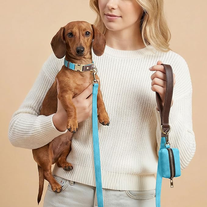 Didog Soft PU Leather Dog Collars - Image 4