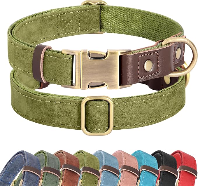 Didog Soft PU Leather Dog Collars by Didog