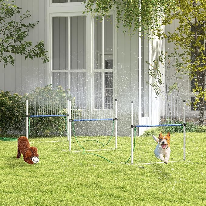 Dog Agility Training Equipment Set by Unknown